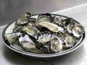 Oysters are Extremely high in Zinc Oysters are Extremely high in Zinc