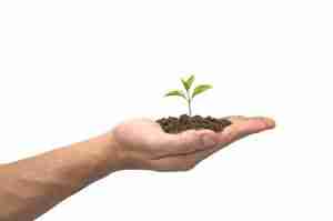 Probiotics must make it to the intestinal tract alive Probiotics must make it to the intestinal tract alive